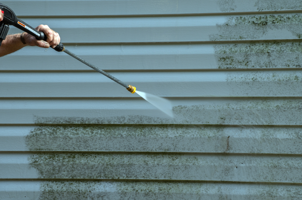 First Banner Image